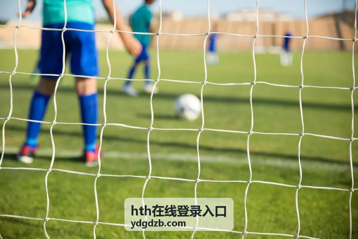 hth在线登录入口基础说明栏目封面